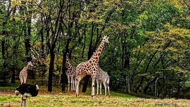 ニューヨーク州発のバレンタインギフトガイド