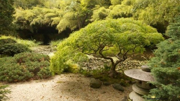 ニューヨーク州にいながら世界旅行を体験する方法