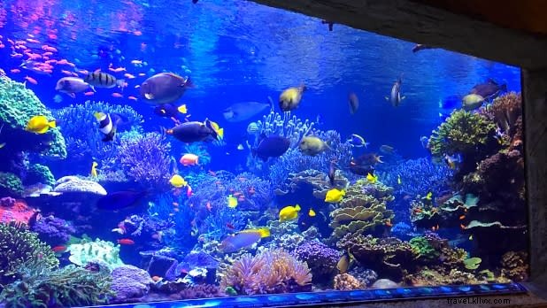 夢のような逃避旅行が思ったより身近に:ニューヨーク州のステイケーションと日帰り旅