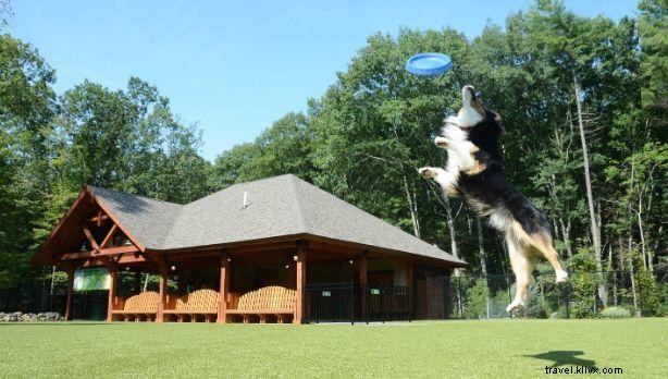 ニューヨーク州で楽しむペットフレンドリーな休暇