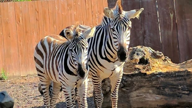 ニューヨーク州の驚くべき家族向け旅行先