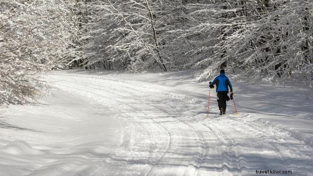 ニューヨーク州の冬、必見バケツリスト