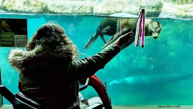 ニューヨーク州で車椅子対応の旅行アイデア8選