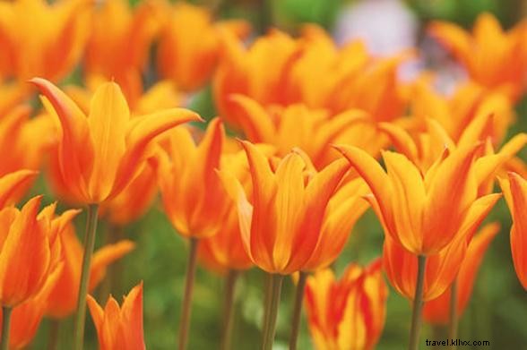 #SpringIntoNYで見つけた私たちのお気に入り投稿