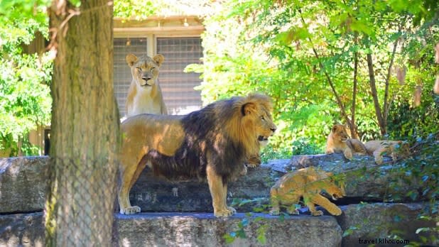 ニューヨーク州で楽しむブロードウェイ体験
