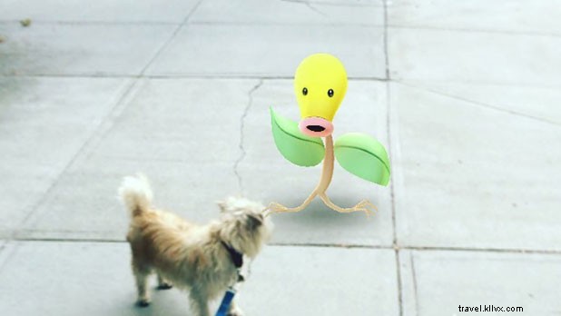 ポケモンGO：ニューヨーク州でポケモンを全部捕まえるおすすめスポット