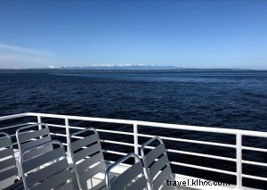 Puget Sound Expressのホエールウォッチング体験