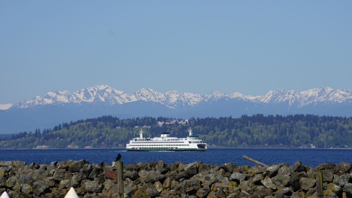 Puget Sound Expressのホエールウォッチング体験