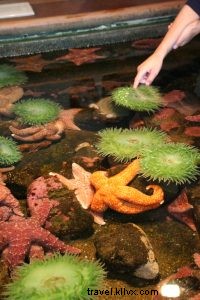 シアトルで家族旅行を満喫する方法