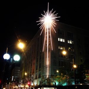 街の木々に灯る小さな白い光