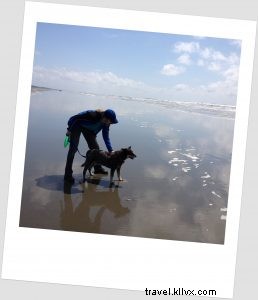 シアトル流・犬との暮らし方