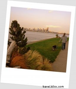 シアトル流・犬との暮らし方