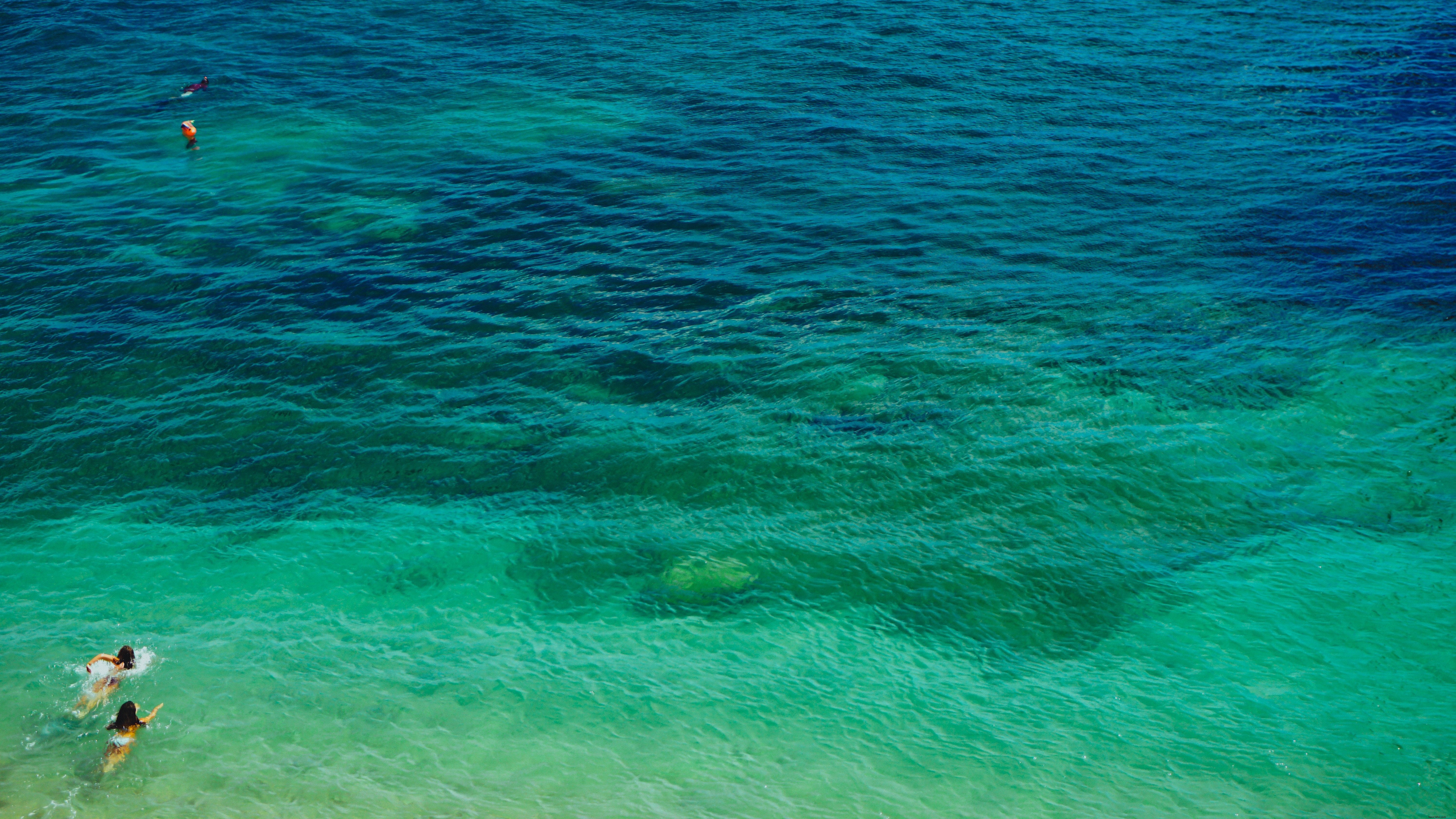海で泳ぐスイマーの写真