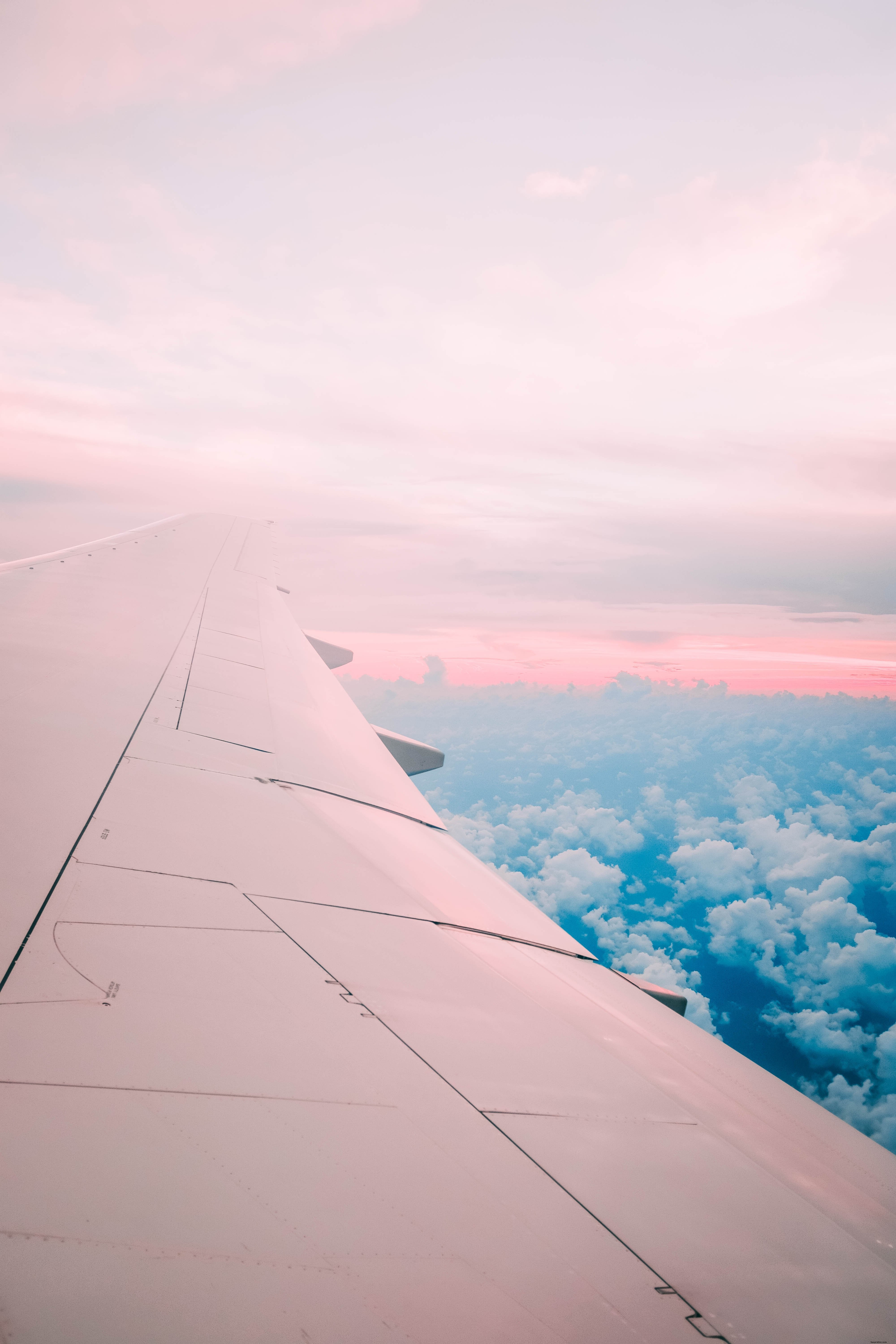ピンク色の飛行機の翼の写真
