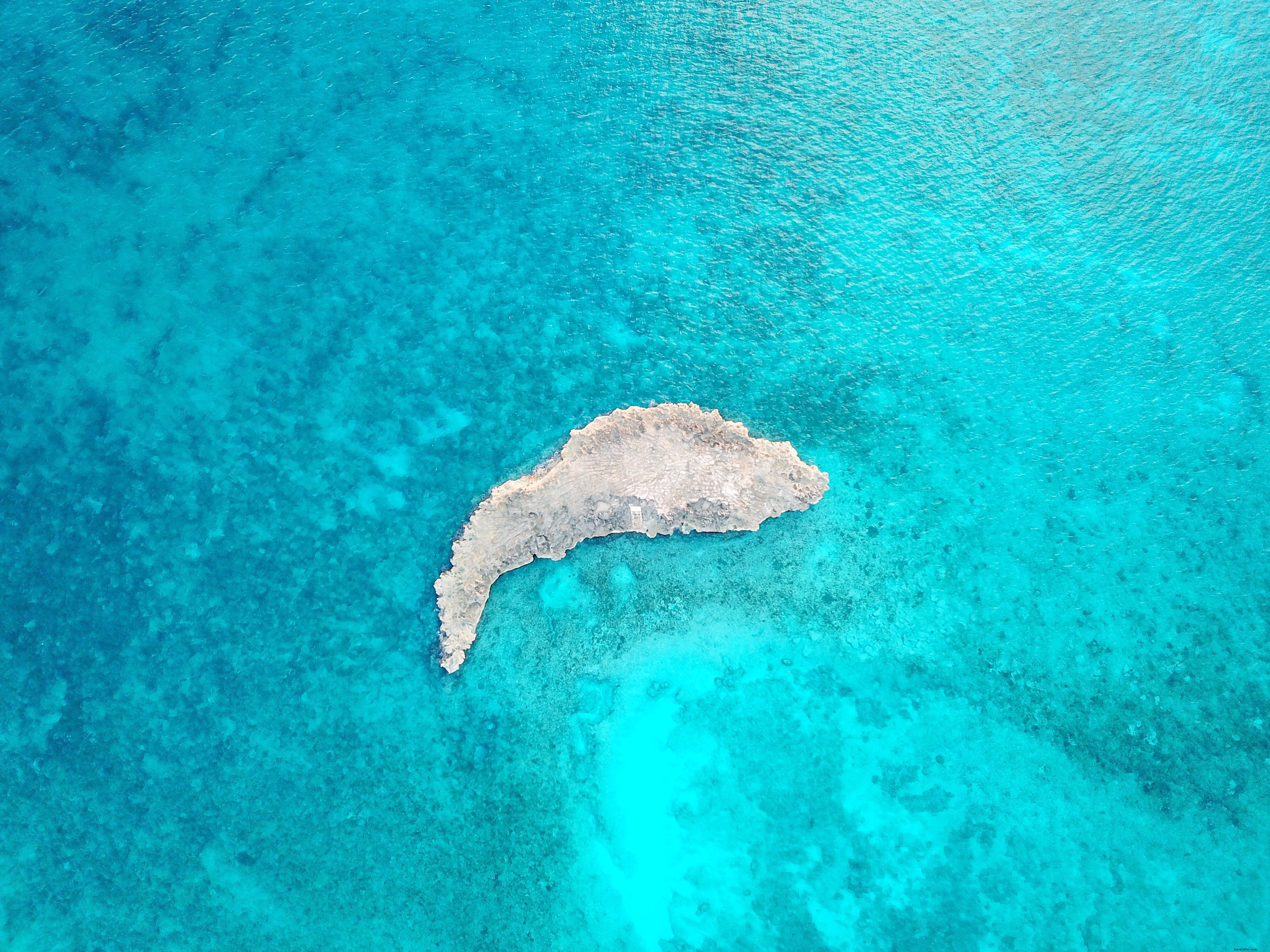 青い海の浅瀬にある小さな岩の島の写真