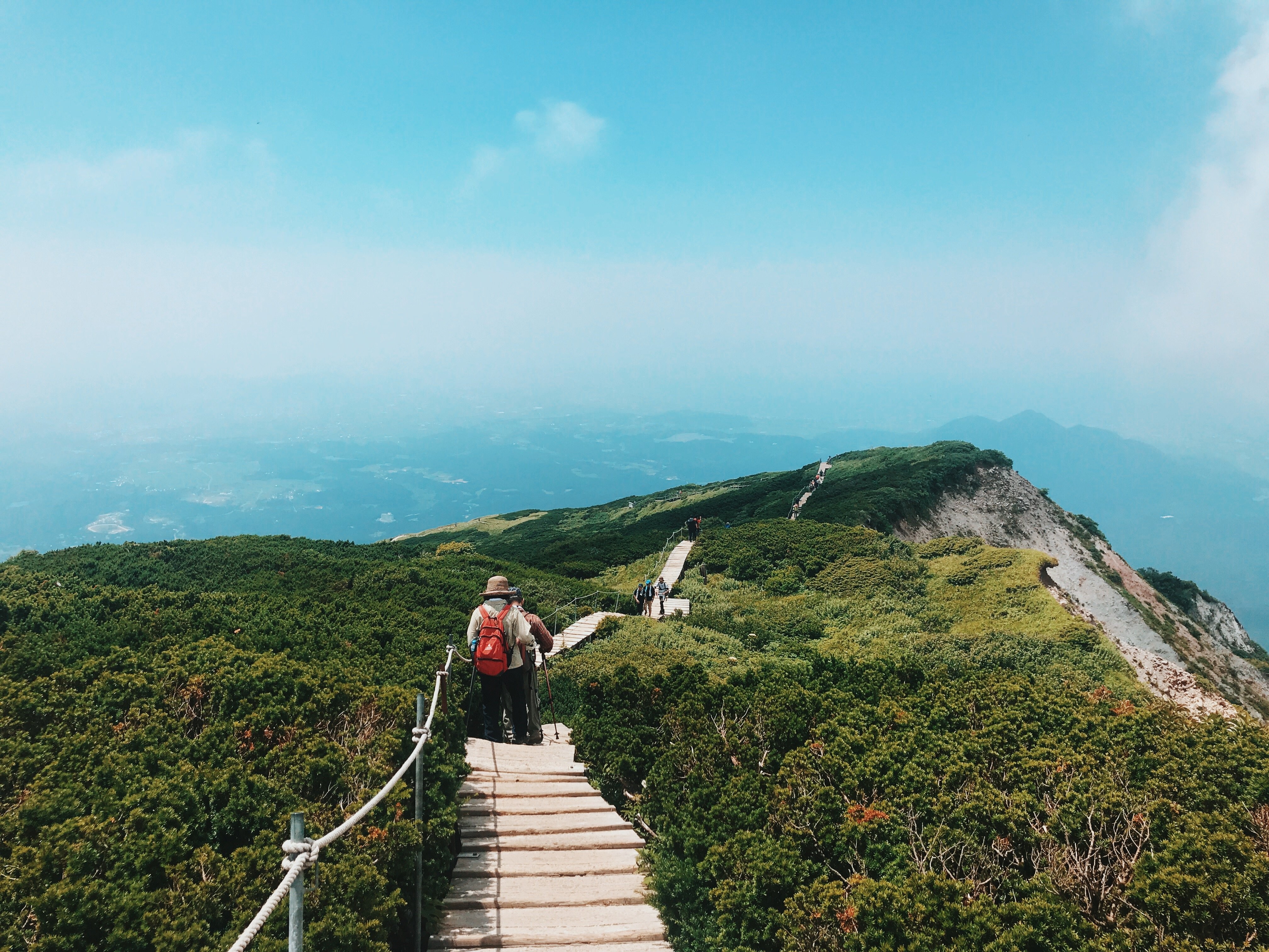 緑に覆われた山頂をトレッキングするハイカーの写真