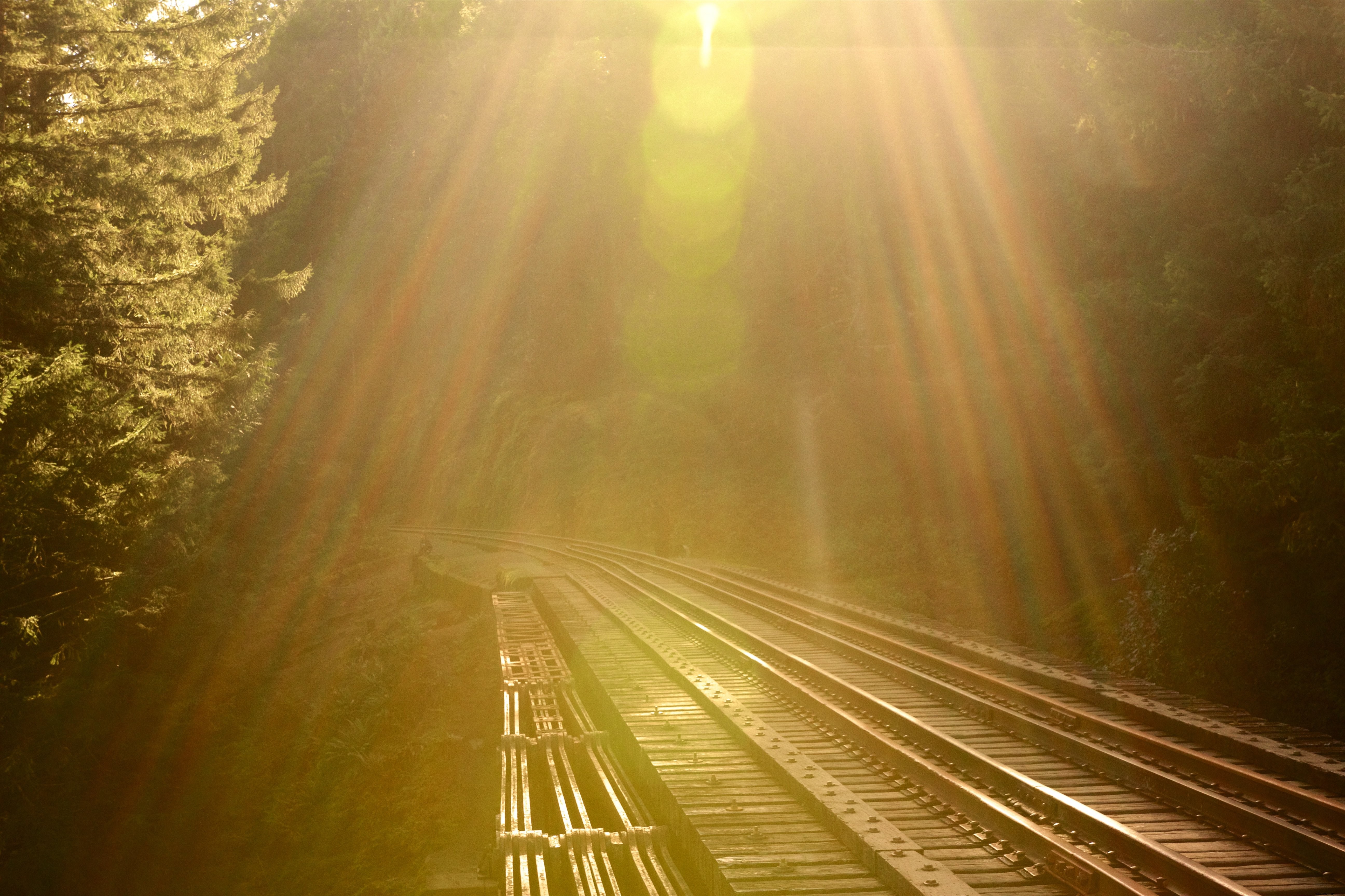 山林を走る鉄道の風景
