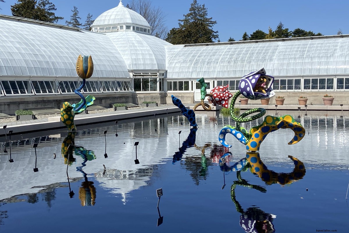 草間彌生『KUSAMA: Cosmic Nature』展がNY植物園で彩る春の芸術