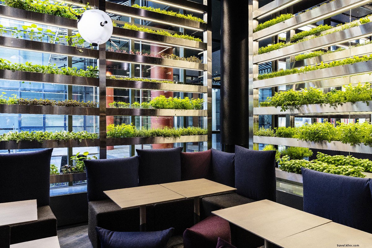ヘルシンキはデザインと幸福の街――世界で最もハッピーな場所は本当にクールなのか