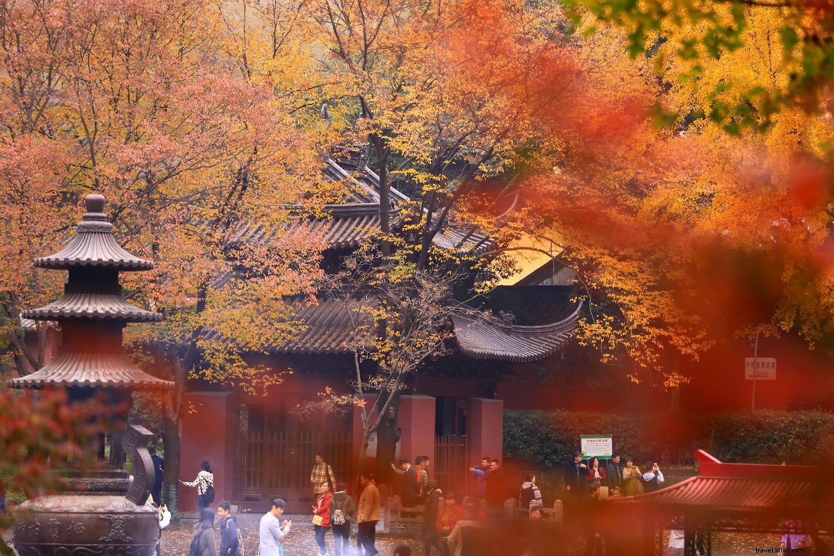 南京の通年ガイド：今、訪れるべき中国の都市