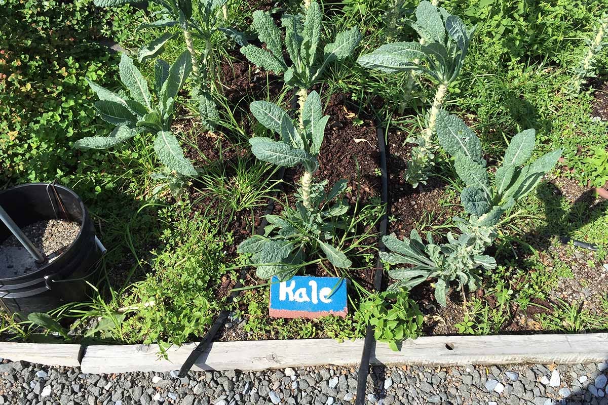 ロングアイランドシティのおすすめスポット：マンハッタンの芸術的隣人