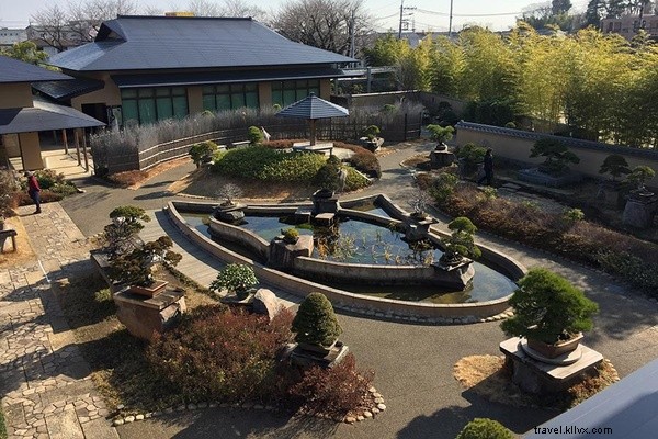 東京の秘蔵盆栽コレクションと穴場アンティークショップを巡る旅
