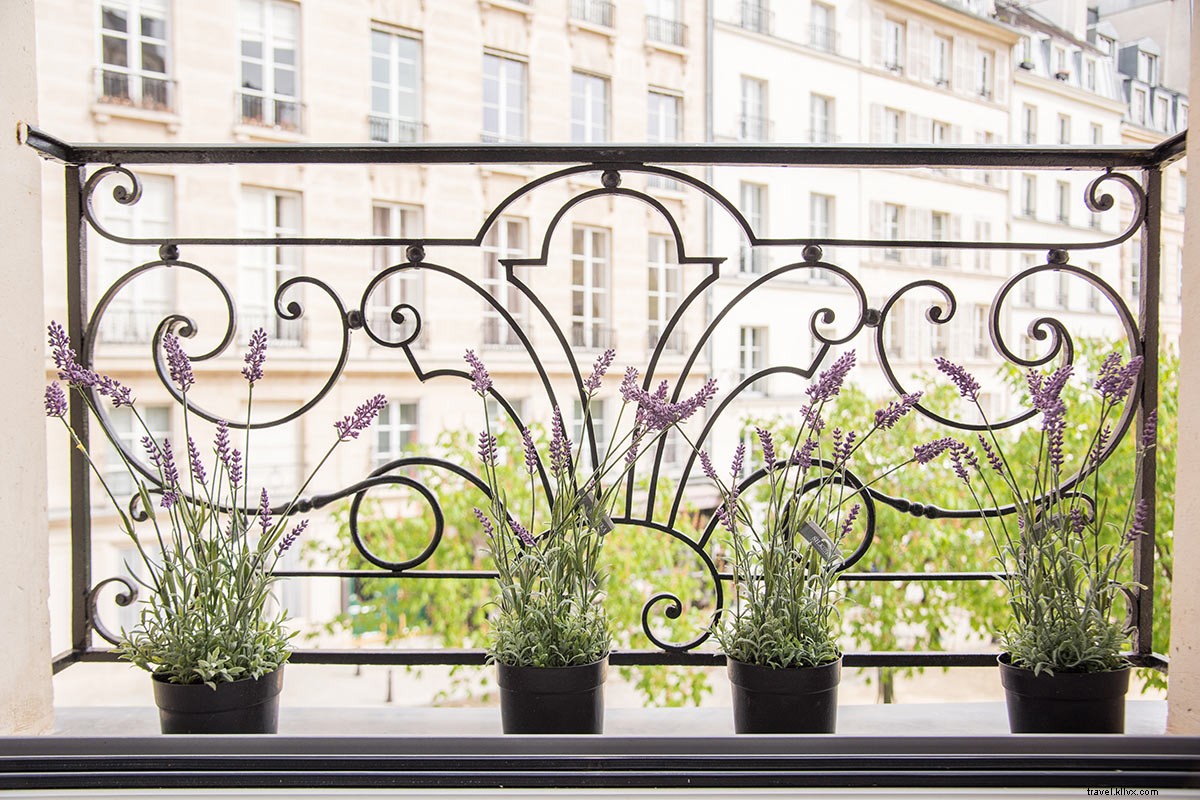パリ・シテ島の魅力的な滞在先、25 Place Dauphine