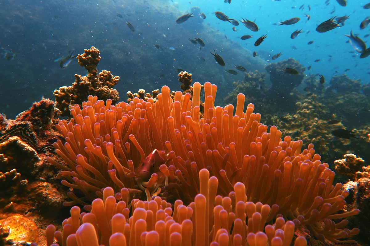 タイをバーチャルで旅する完全ガイド