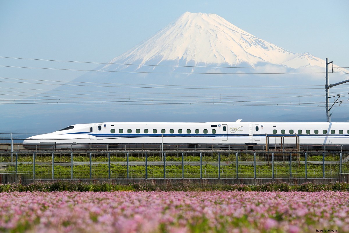 東京郊外で自然を満喫する旅の提案