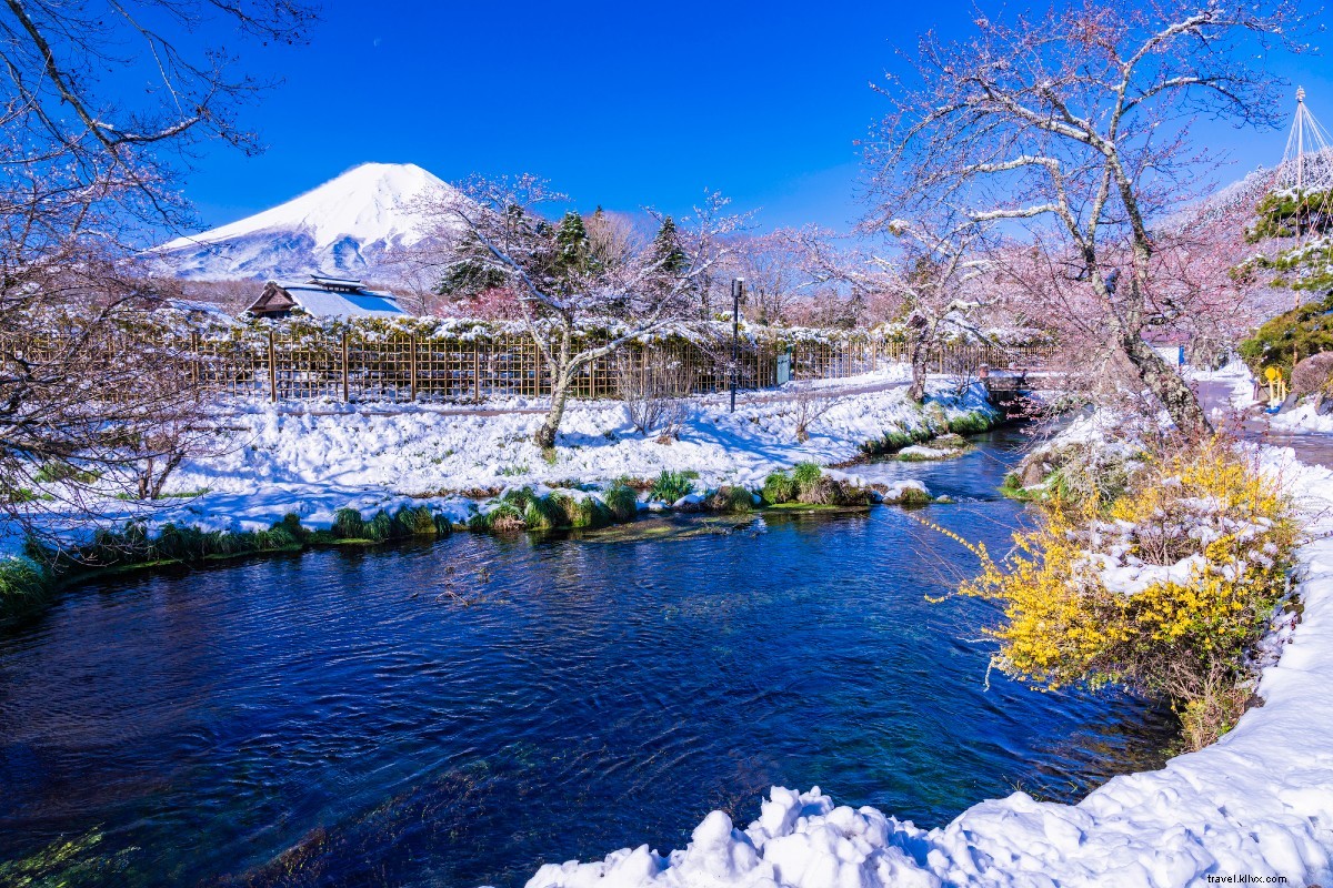 東京発・電車で巡る大仏・湖・富士山の絶景4日間旅行ガイド