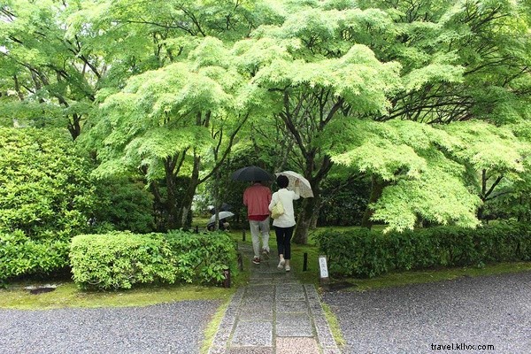 京都・苔寺で見つけた楽園