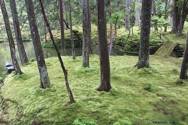 京都・苔寺で見つけた楽園