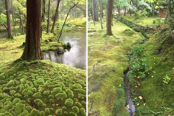 京都・苔寺で見つけた楽園