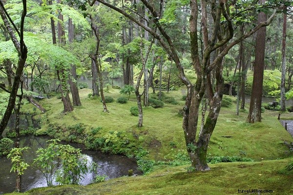 京都・苔寺で見つけた楽園