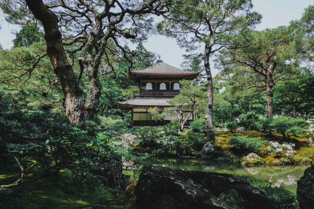 京都で過ごす最高の時間—やりがい溢れる旅のコツ