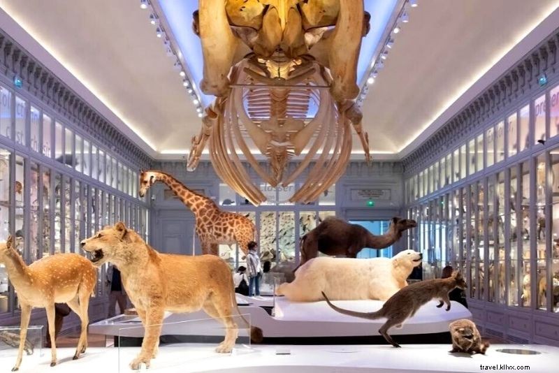 ボルドーで楽しむべき51のアクティビティ