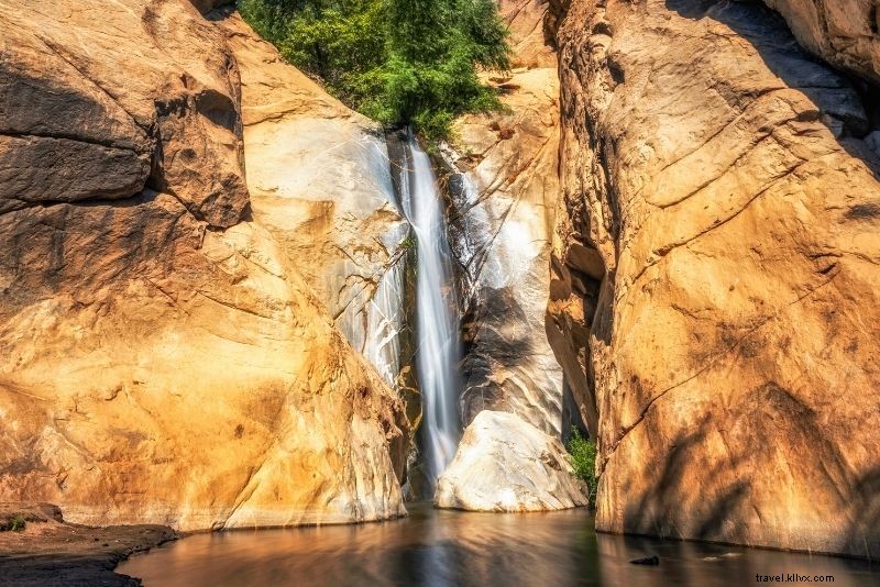 カリフォルニア・パームスプリングスで楽しむべき56のユニークなアクティビティ