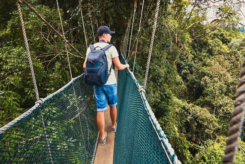 セントルシアでやるべき55の楽しくて珍しいこと