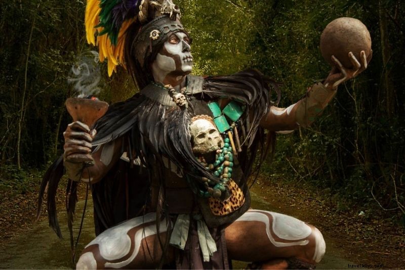 メキシコ・コスメルで楽しむ51のアクティビティ