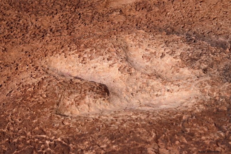 ユタ州モアブで楽しむ55のアクティビティ