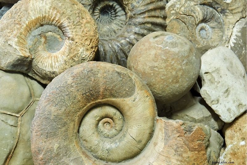 ユタ州モアブで楽しむ55のアクティビティ