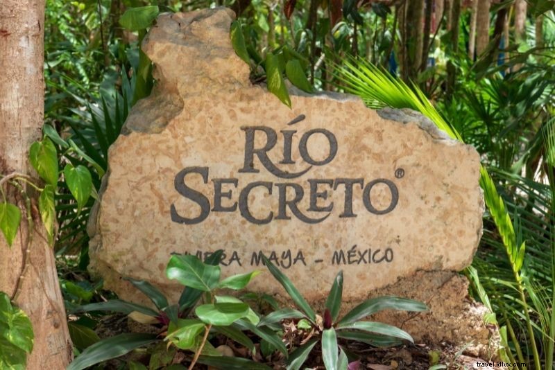 メキシコ・プラヤ・デル・カルメンで絶対に外せない50の楽しみ方
