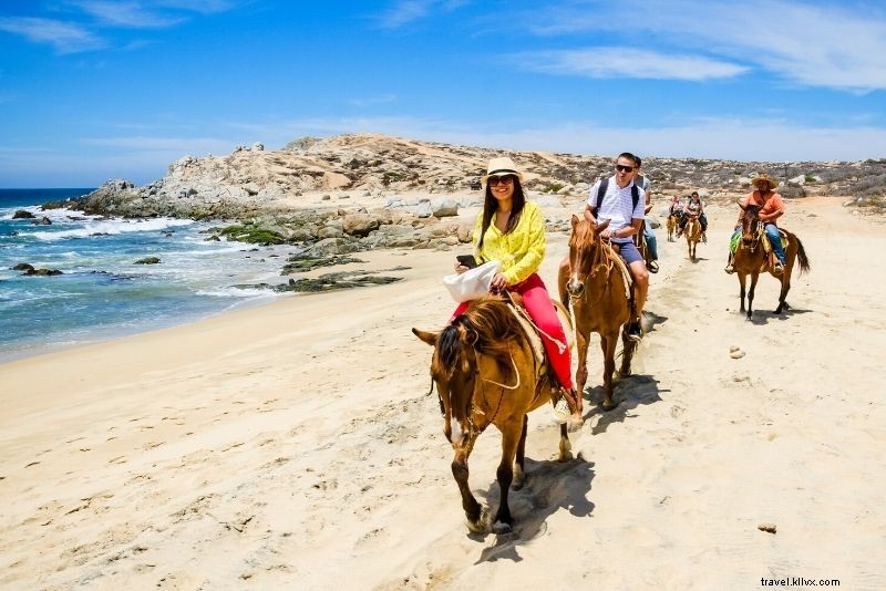 メキシコ・カボサンルーカスで楽しむべき51のアクティビティ