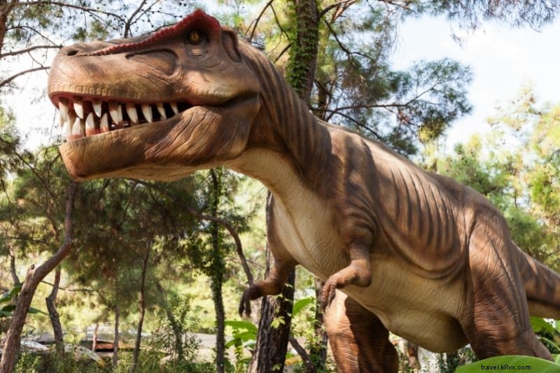 テキサス・オースティンで楽しむ76のユニークで楽しいアクティビティ