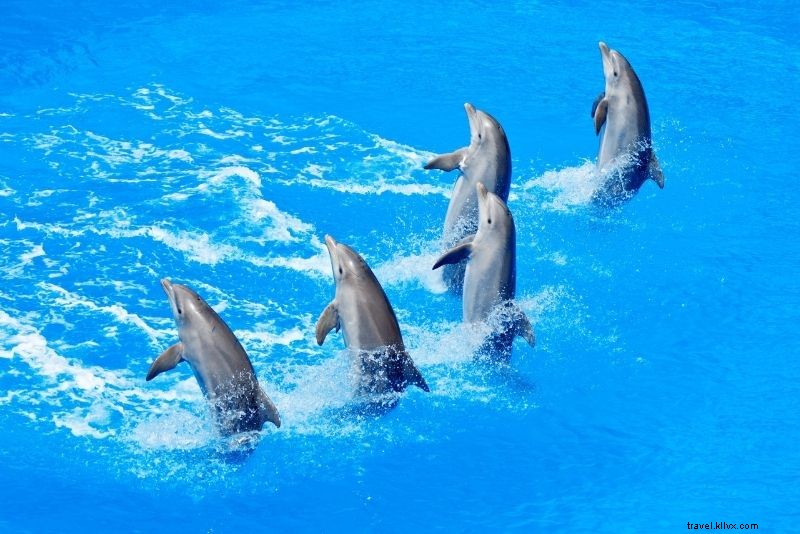 テキサス・オースティンで楽しむ76のユニークで楽しいアクティビティ