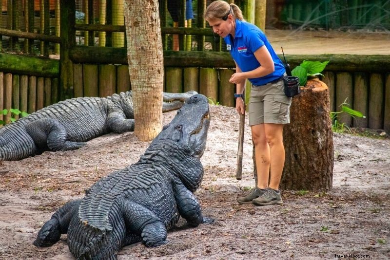 フロリダ・セントオーガスティンで楽しむ55のユニークなアクティビティ