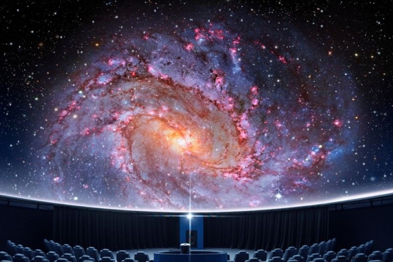 フロリダ・フォートマイヤーズで楽しむ41のアクティビティ