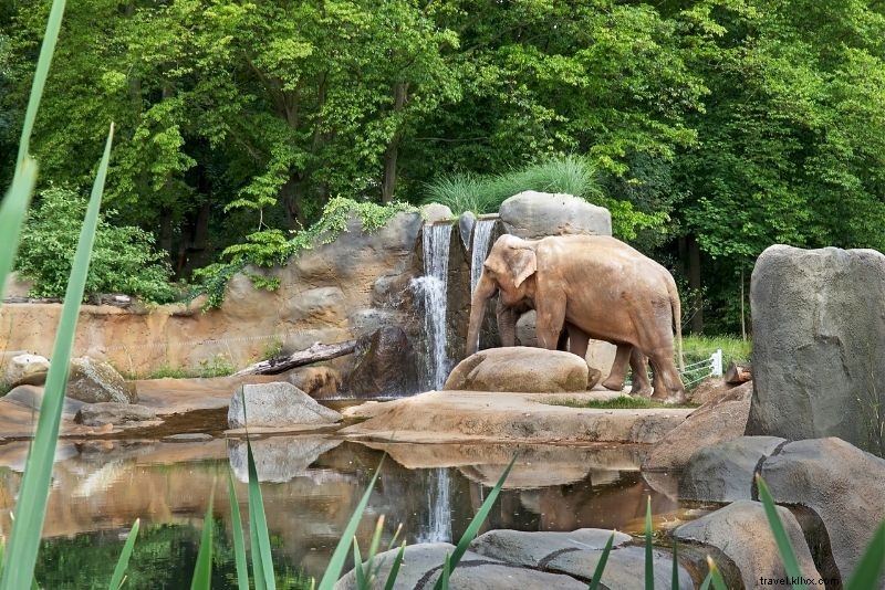 プラハでやるべき74の楽しくて珍しいこと