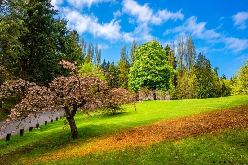 シアトルで楽しむべき71のユニークな体験(ワシントン州)