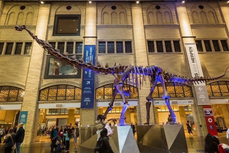 トロントでやるべき55の楽しいこと